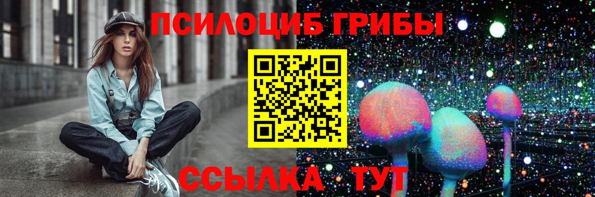 Псилоцибиновые грибы Cubensis Можга